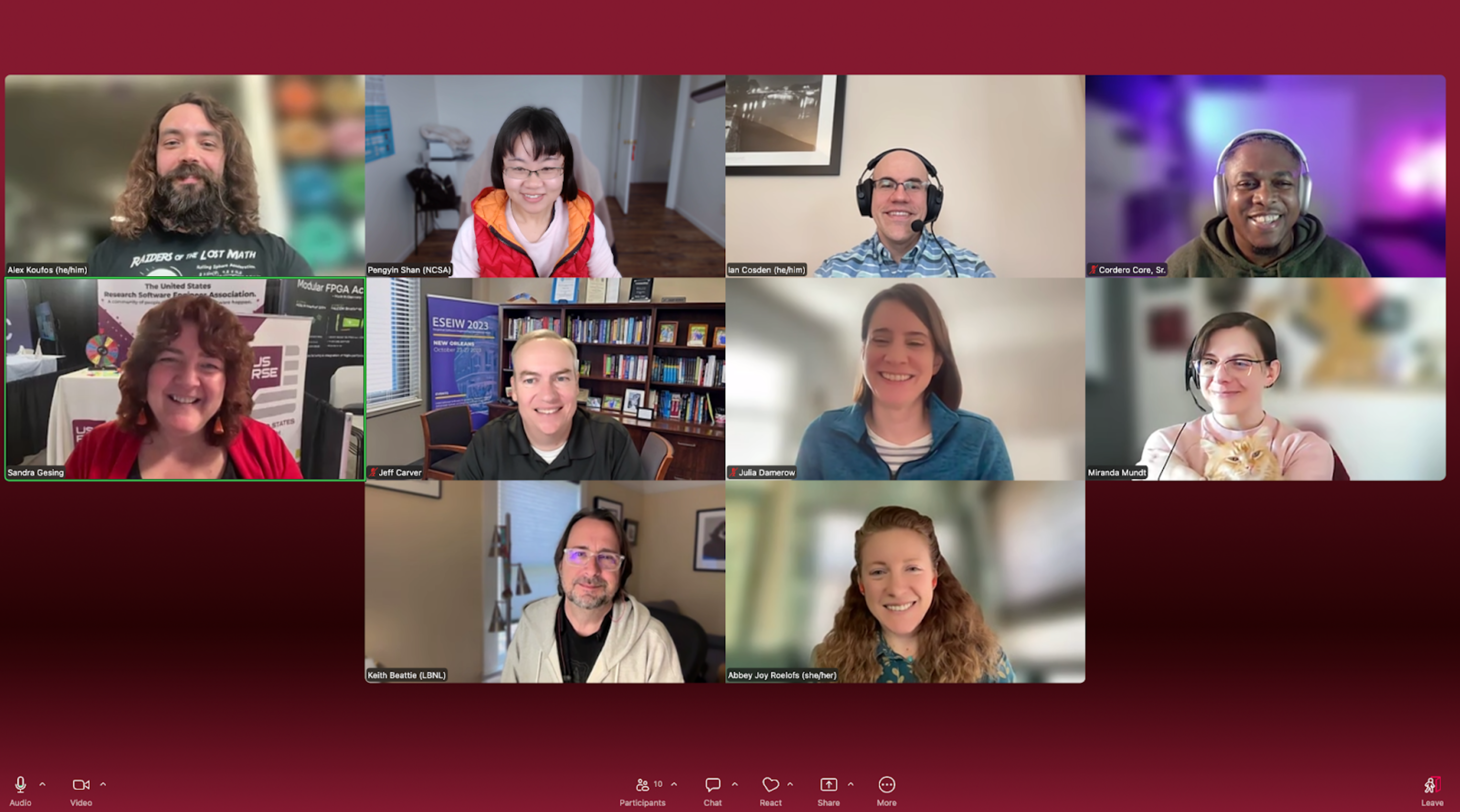 Screen capture of Steering Committee meeting on Zoom