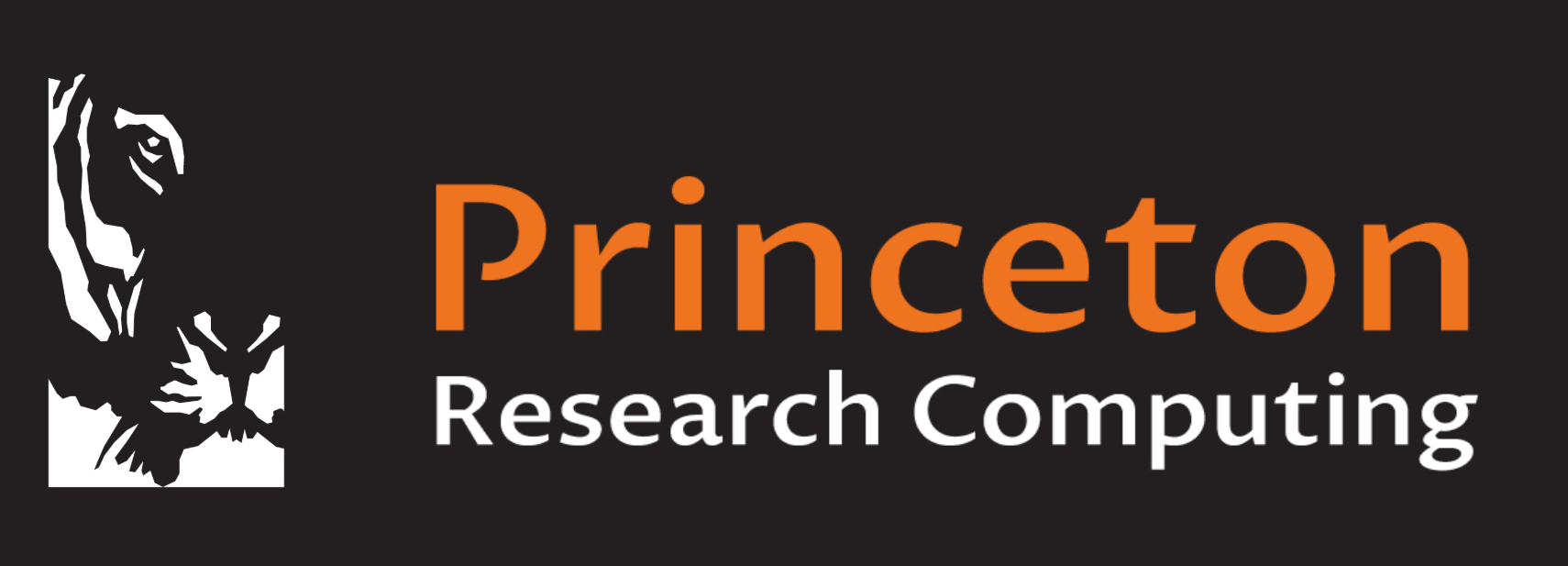 Princeton University